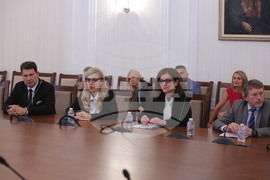 Парламент - комисия по външна политика