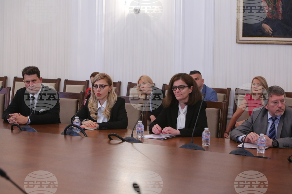 Парламент - комисия по външна политика