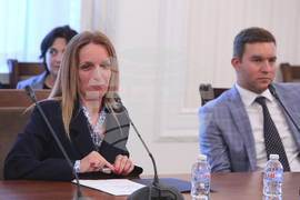 Парламент - комисия по външна политика