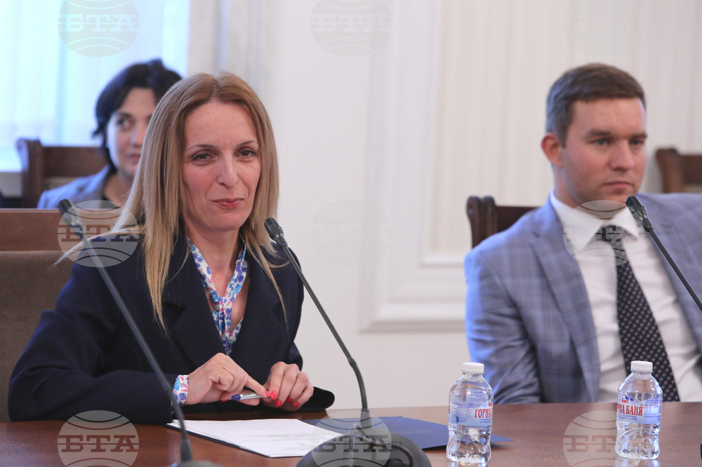 Парламент - комисия по външна политика