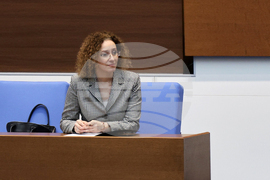 Народно събрание - парламентарен контрол