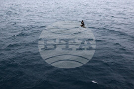 Национална антарктическа експедиция - аржентинска база на Антарктида „Керлини“ - Военен научноизследователски кораб „Св. Св. Кирил и Методий“ - НИК 421