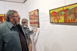 Смолян - Елица Гигова - изложба