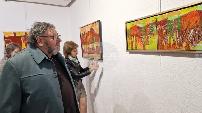 Смолян - Елица Гигова - изложба