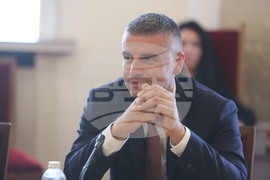 Парламент  - временна комисия - доставки на газ 