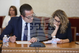 Парламент  - временна комисия - доставки на газ 