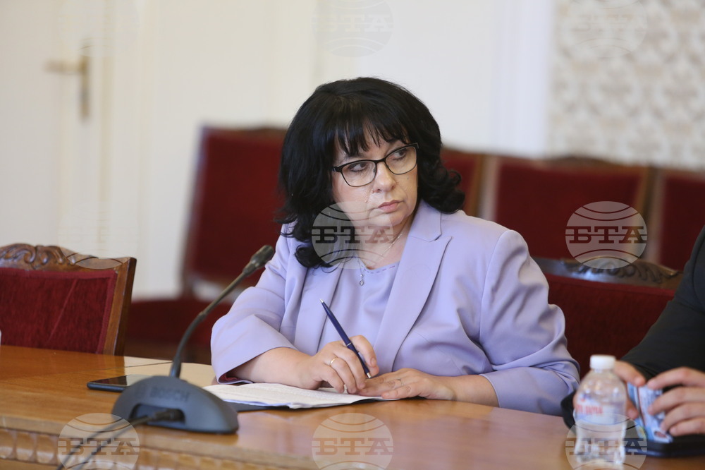 Парламент  - временна комисия - доставки на газ 