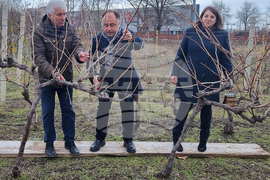 Варна - Технически университет - лозя - зарязване