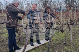 Варна - Технически университет - лозя - зарязване