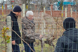 Варна - Технически университет - лозя - зарязване