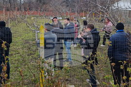 Варна - Технически университет - лозя - зарязване