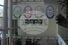 Румъния - Българчета учат в Международното училище в Букурещ