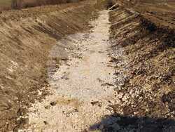 Снимка: МЗХ