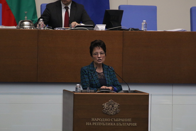 Ирена Анастасова към министър Цоков: Опасно е без яслени специалисти, само с НПО-та на властта да правите закони за ранно детско развитие