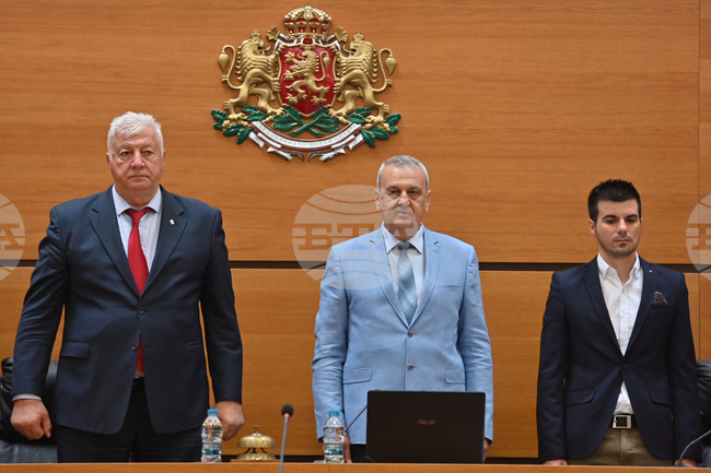 Пловдив - Общински съвет - Нери Терзиева