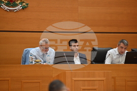 Пловдив - Общински съвет - Нери Терзиева