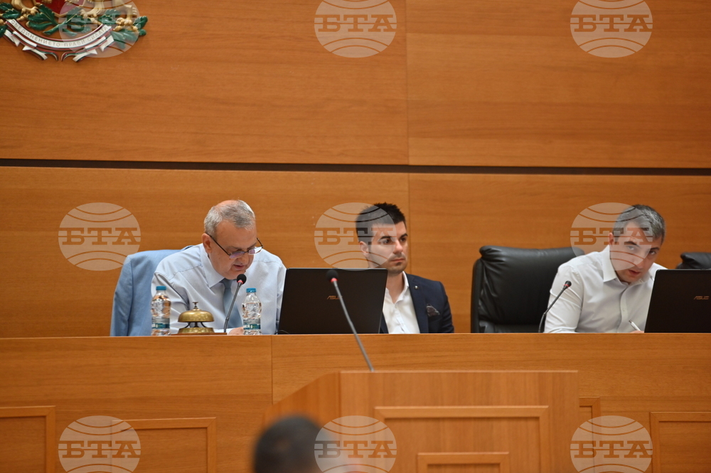 Пловдив - Общински съвет - Нери Терзиева