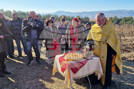 Струмяни - празник на боговете на виното
