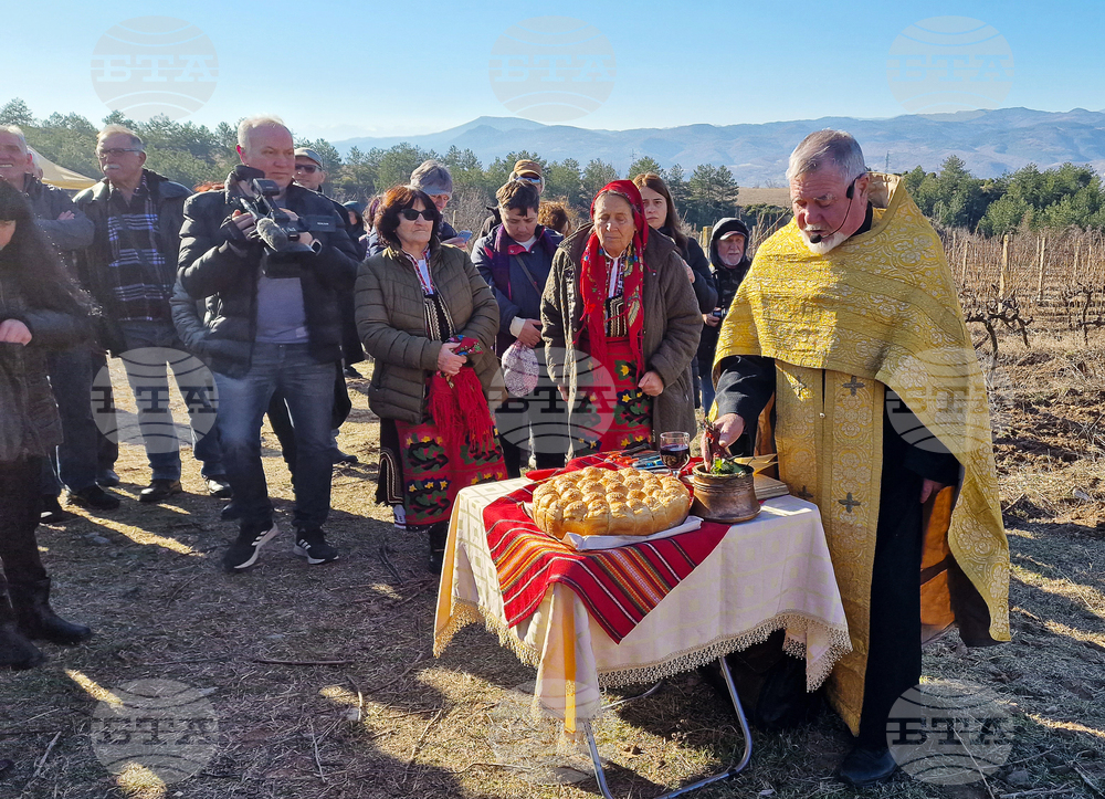 Струмяни - празник на боговете на виното