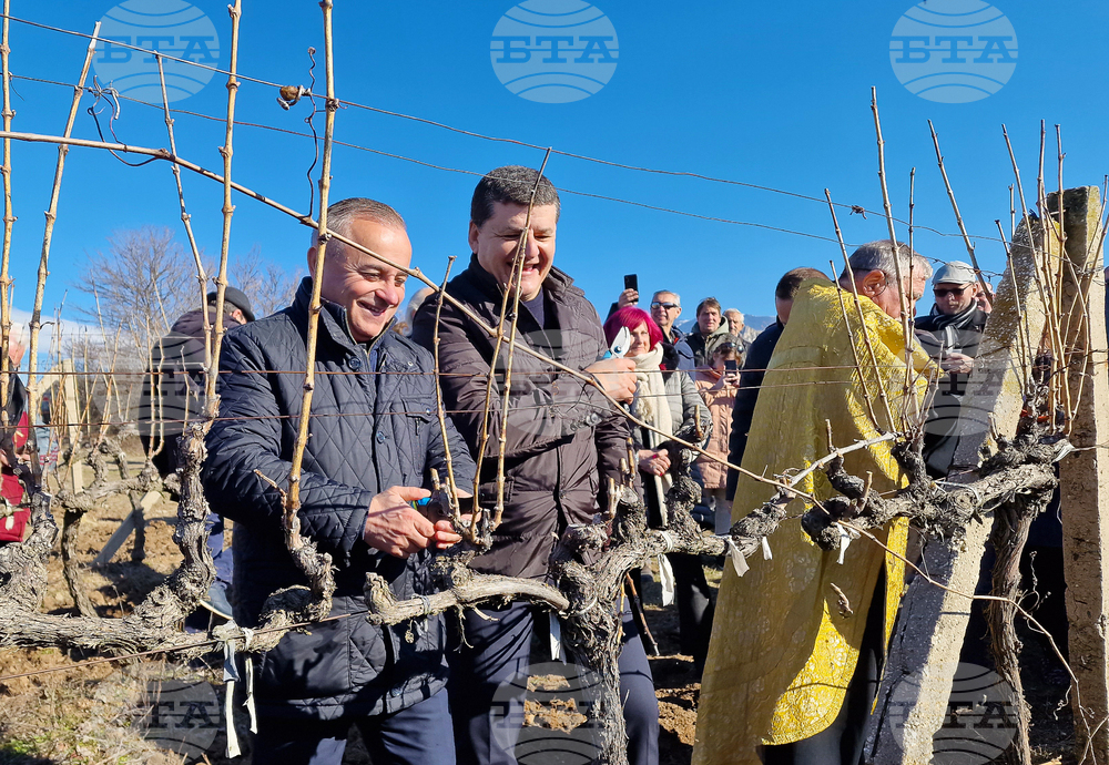 Струмяни - празник на боговете на виното