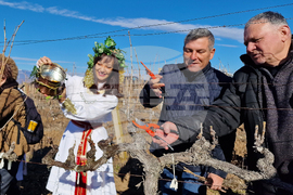 Струмяни - празник на боговете на виното