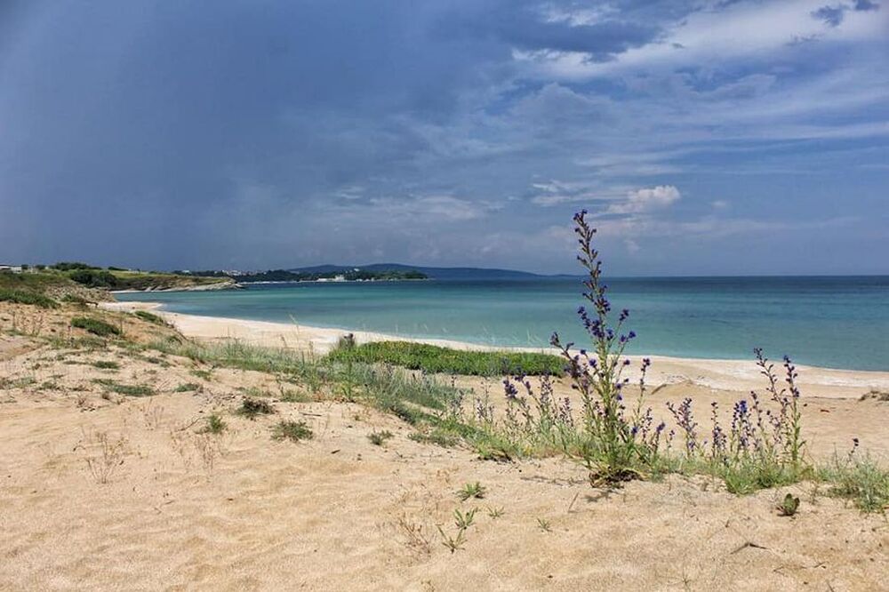 Министерството на околната среда и водите обяви защитена местност „Залив Корал“