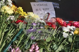 Протест - катастрофа