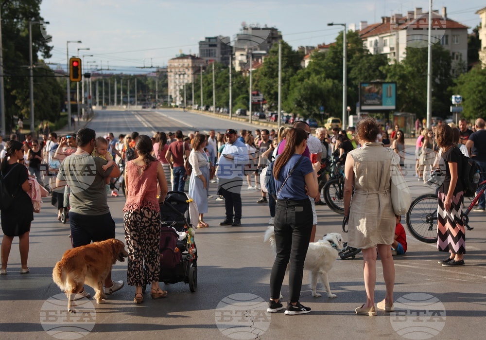 Протест - катастрофа