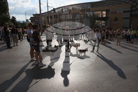 Протест - катастрофа