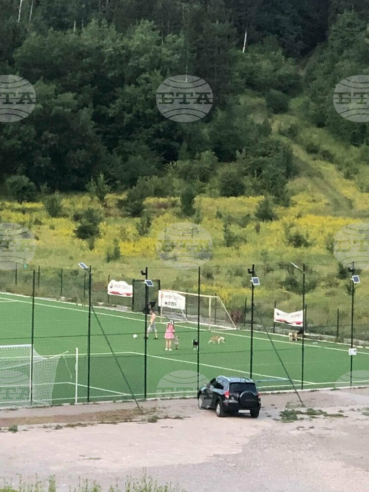 Нарушители увреждат изкуствено игрище до пернишкия стадион "Металург" в Перник