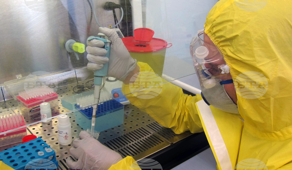 COVID-19 Update: 137 New Cases, Test Positivity Rate at 4.3%