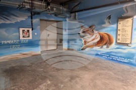 Бургас - графити - паркинг библиотека