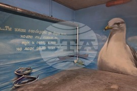 Бургас - графити - паркинг библиотека