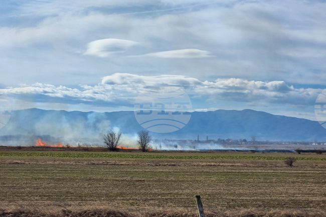 Забранено е паленето на стърнища и сухи треви, напомнят от общината в Драгоман