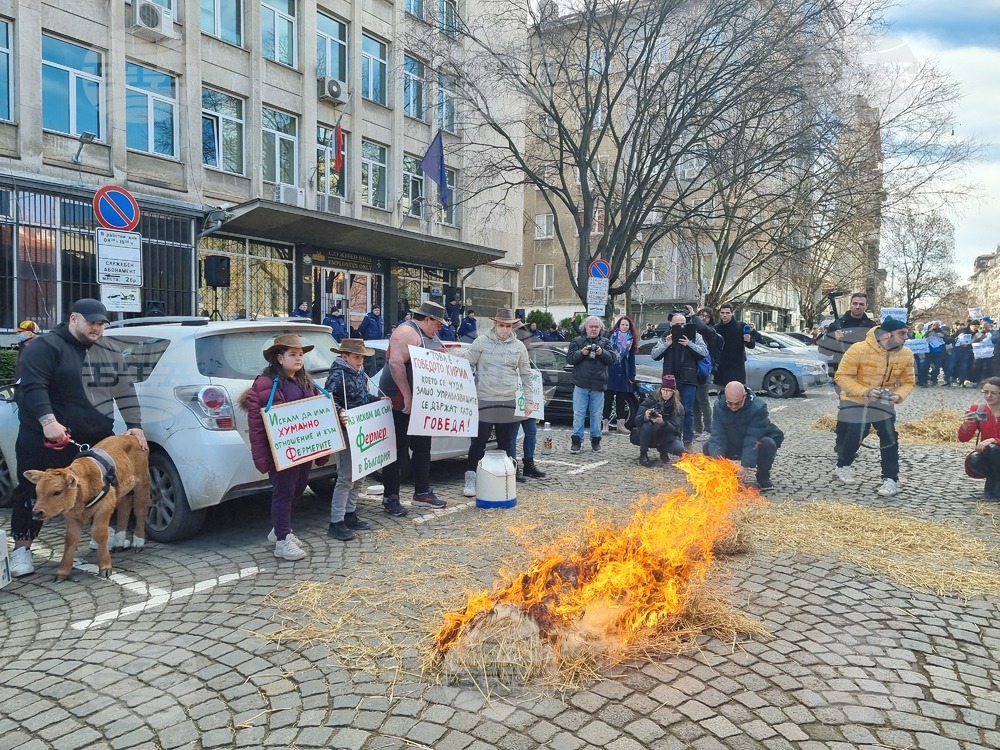 Земеделски организации - протест