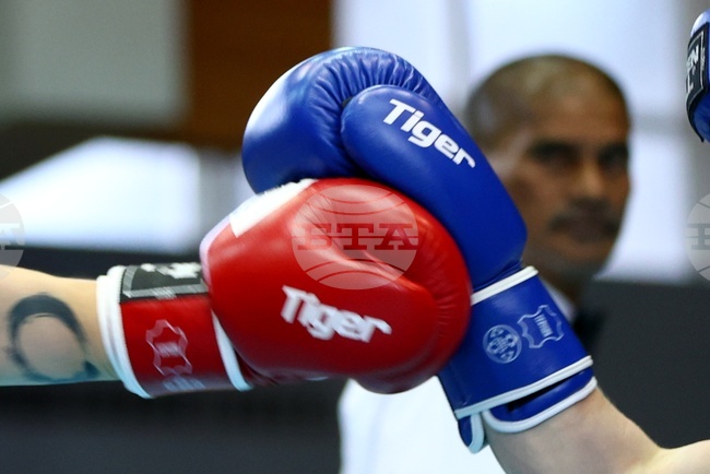 Боксов клуб Червен бряг спечели Купата на България при жените