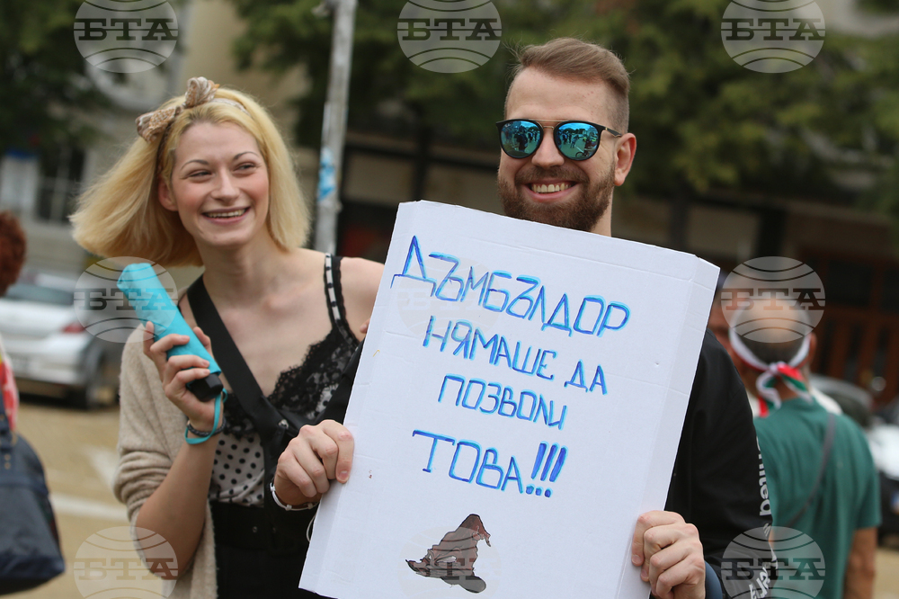 Протест в подкрепа на правителството