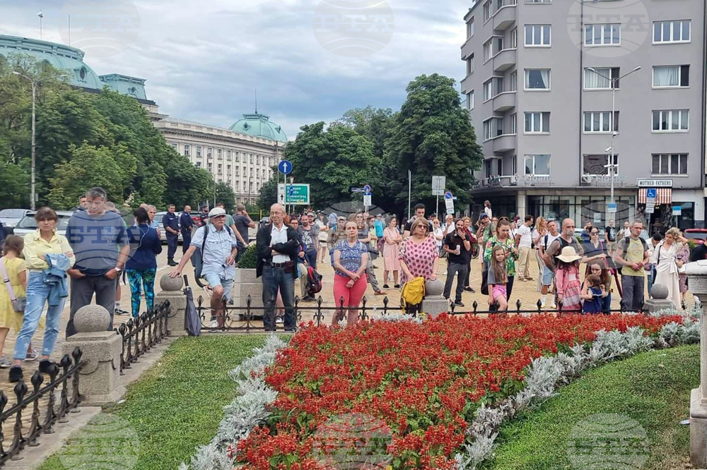 Протест в подкрепа на правителството