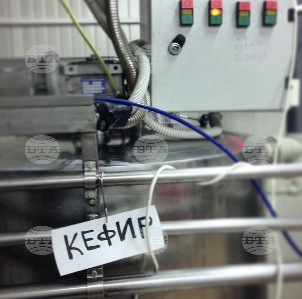 От кравата до магазина – участници в „Зелена школа“ се запознаха с пътя на млякото