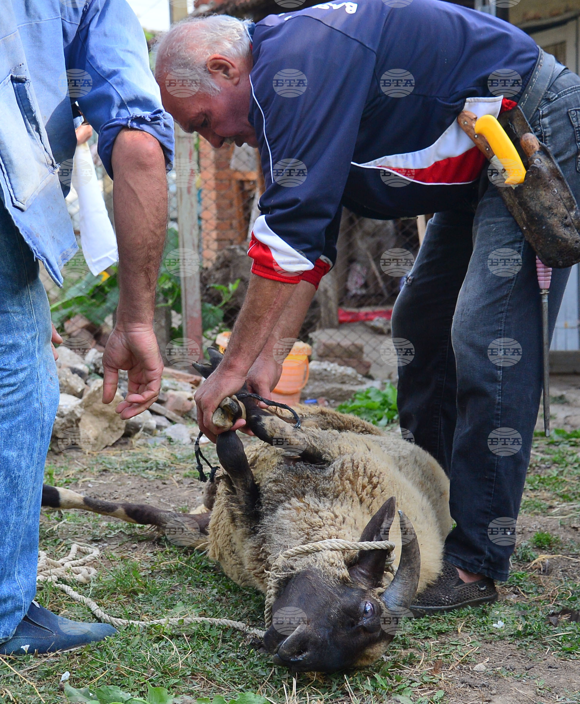 Исперих - Курбан байрам - ритуал