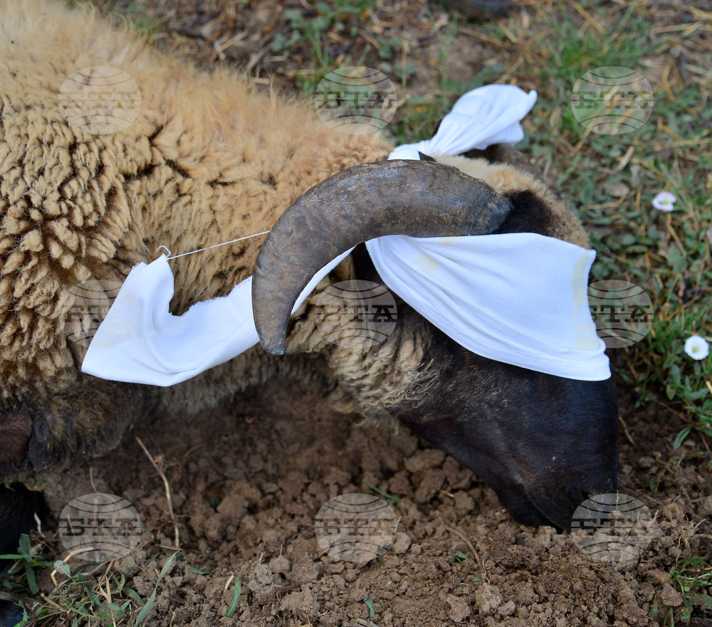 Исперих - Курбан байрам - ритуал