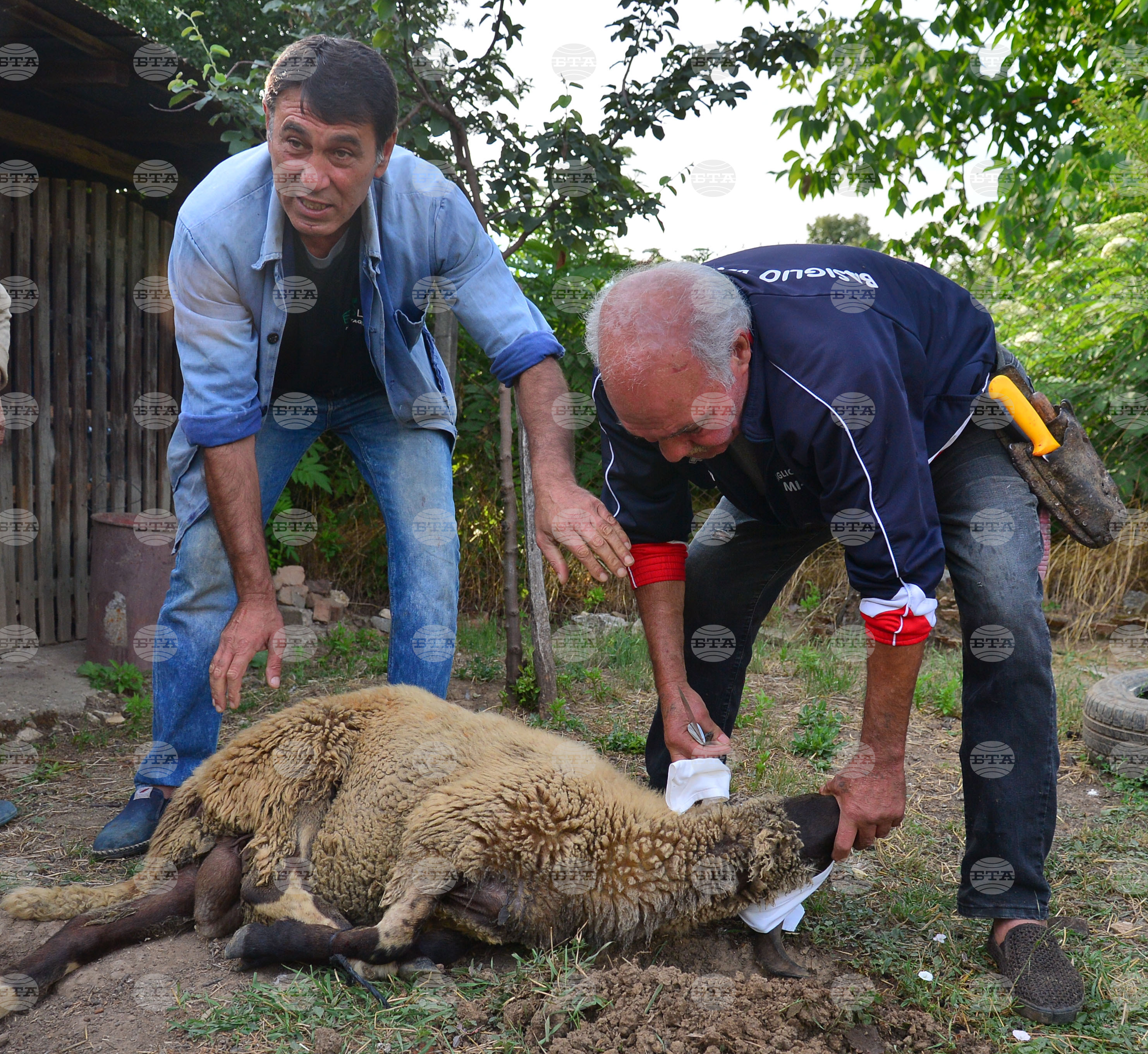 Исперих - Курбан байрам - ритуал