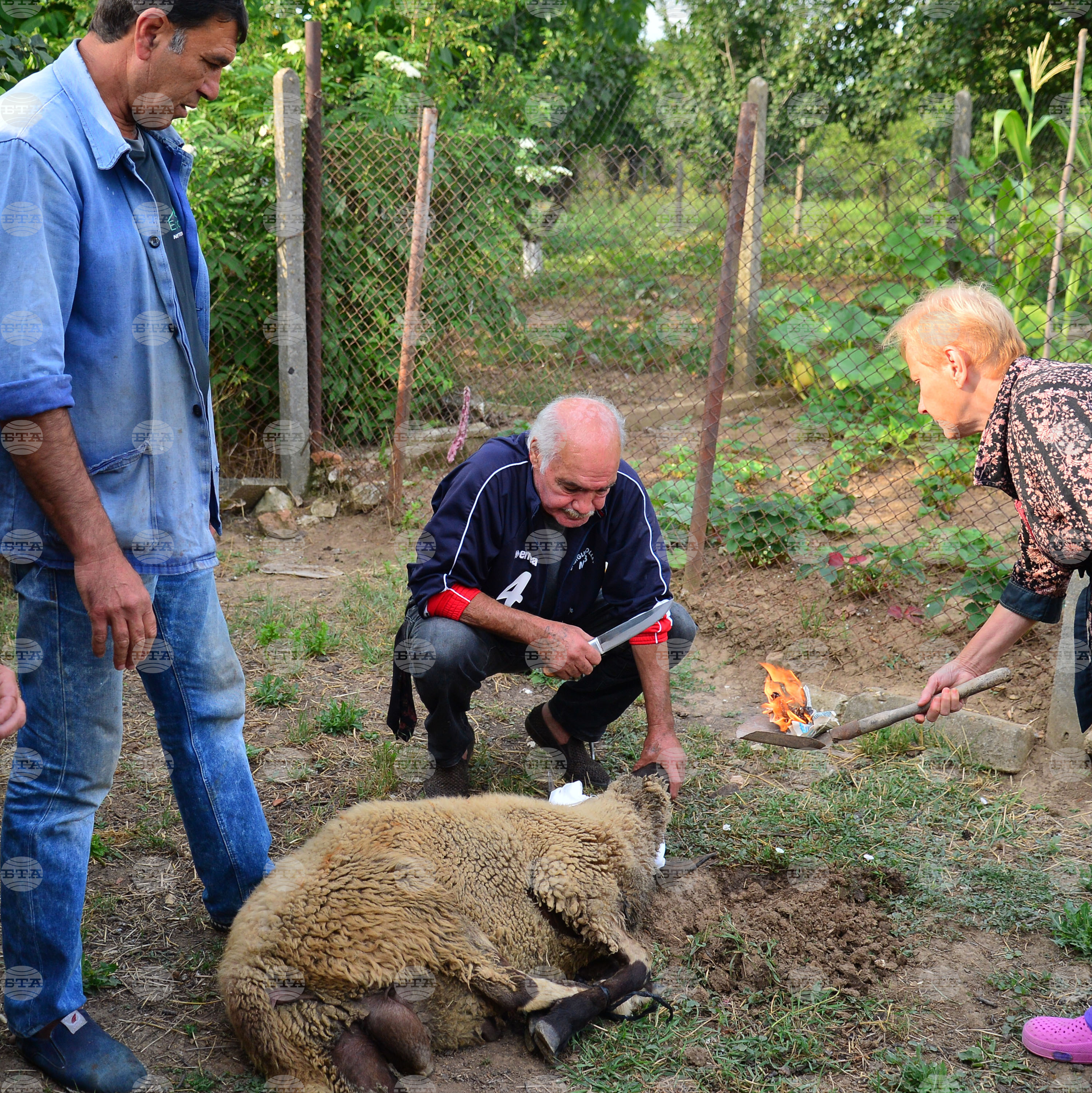 Исперих - Курбан байрам - ритуал