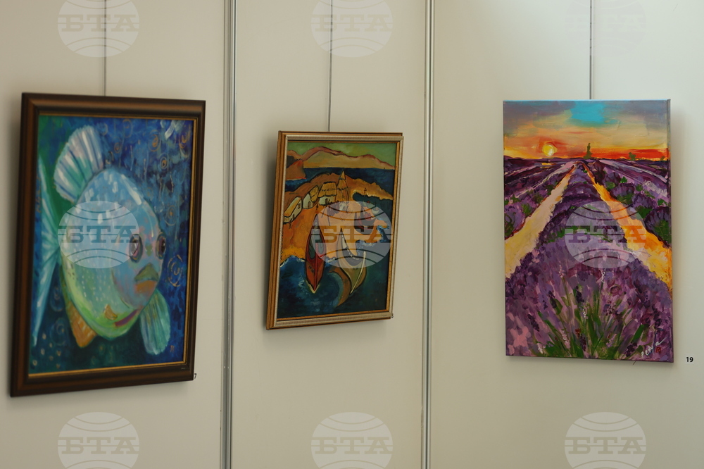 Парламент - Петя Илиева - изложба