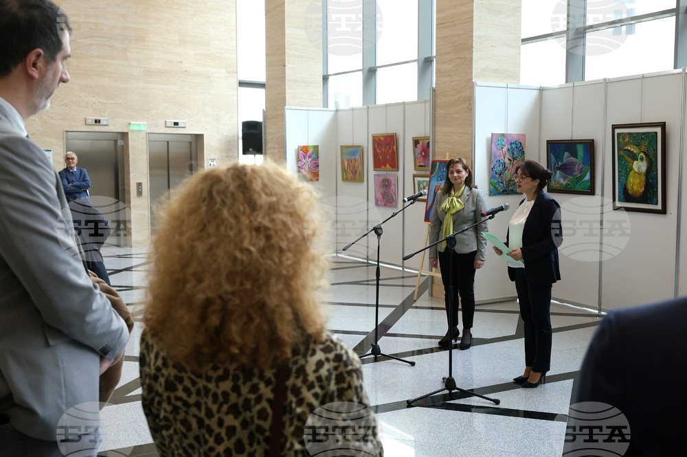 Парламент - Петя Илиева - изложба