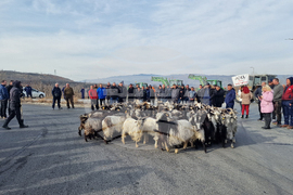 Ново Делчево - протест - земеделски производители