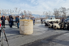 Ново Делчево - протест - земеделски производители