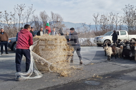 Ново Делчево - протест - земеделски производители