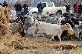 Ново Делчево - протест - земеделски производители