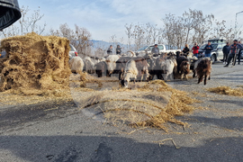 Ново Делчево - протест - земеделски производители